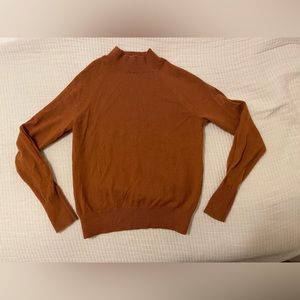 Gently worn Cashmere Everlane Teddy Mockneck Sweater, 2019